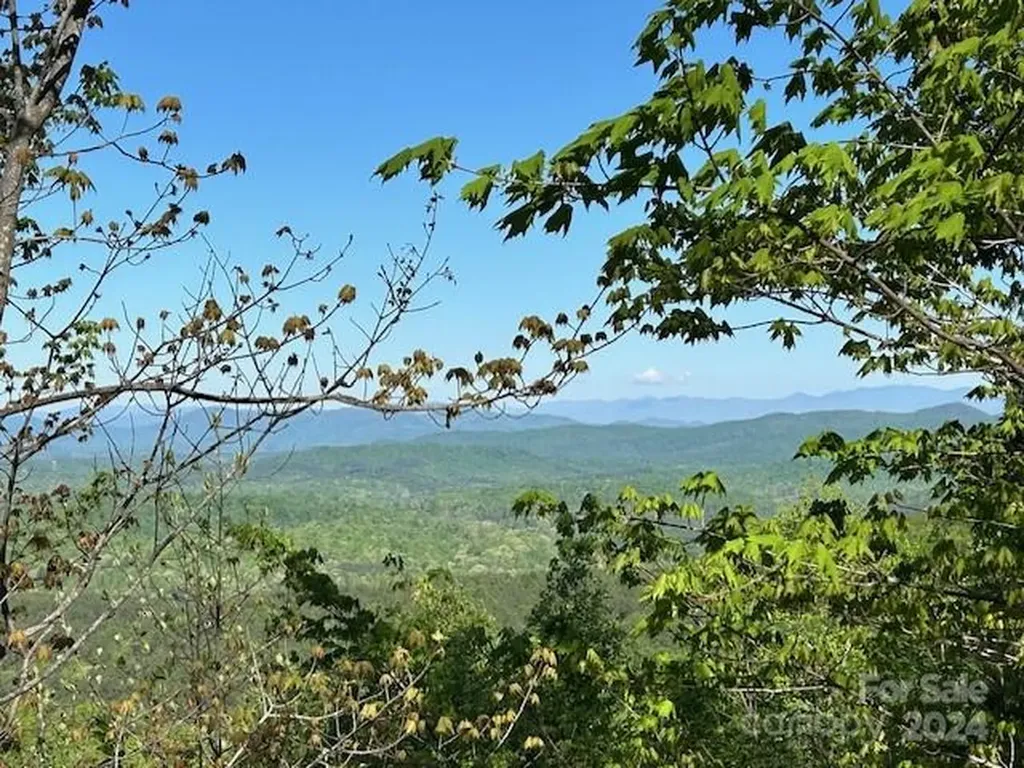0 Arbra Mountain Way Bostic NC 28018