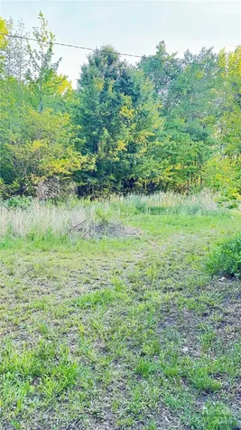 39273 Wright Road New London NC 28127