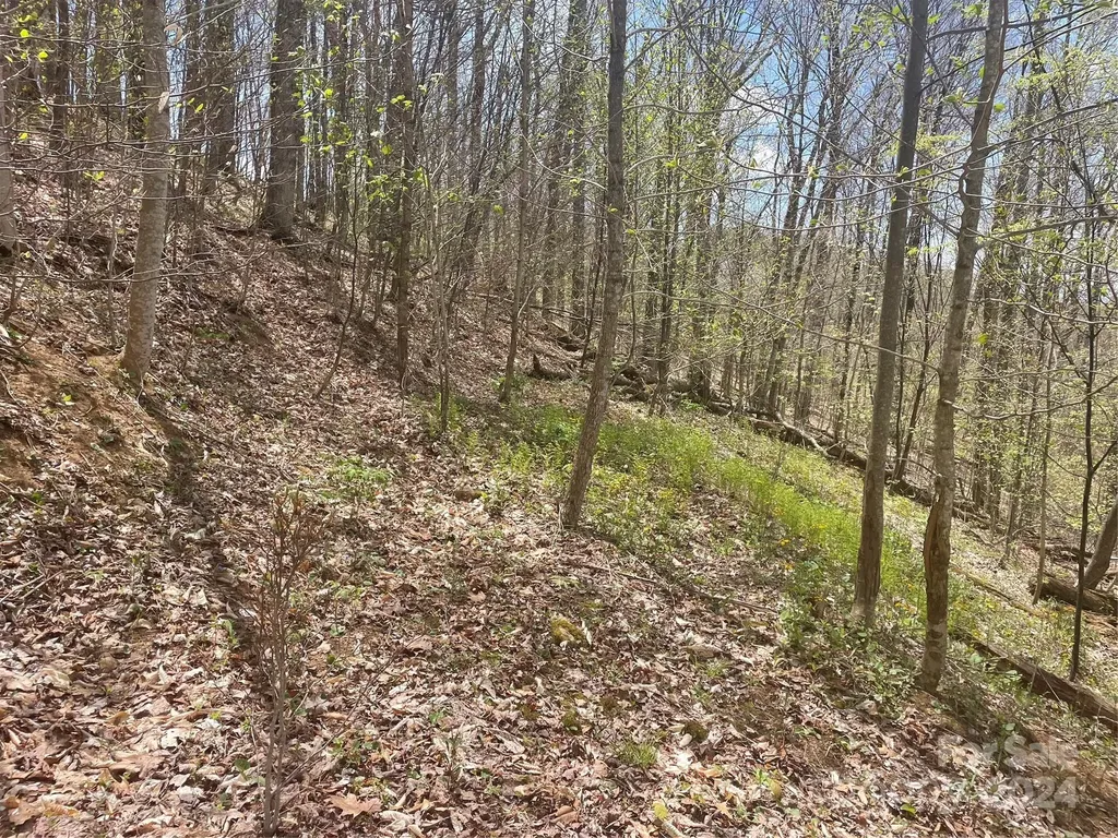 000 El Miner Drive Mars Hill NC 28754