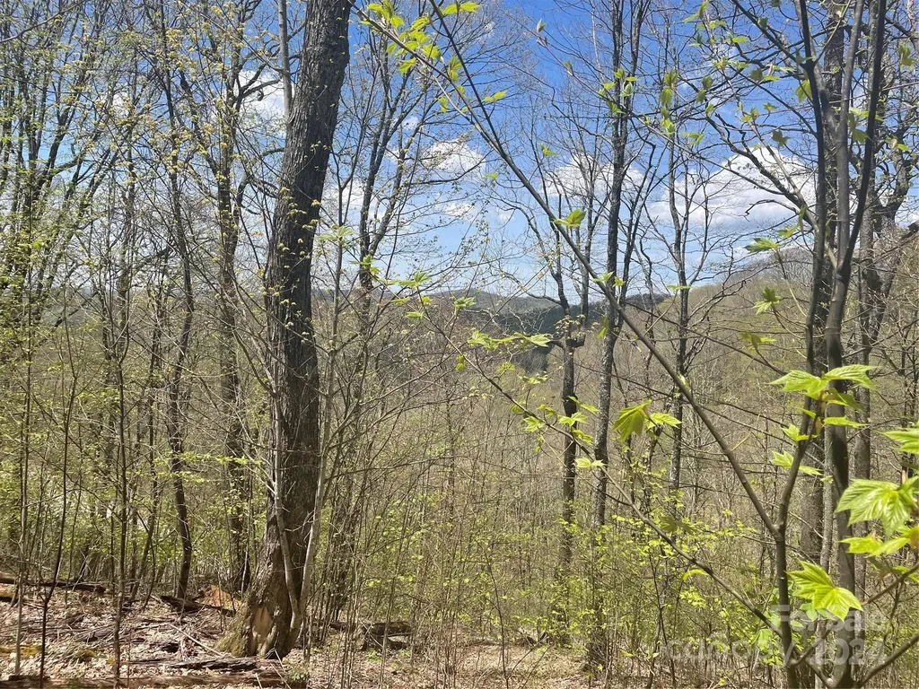 000 El Miner Drive Mars Hill NC 28754