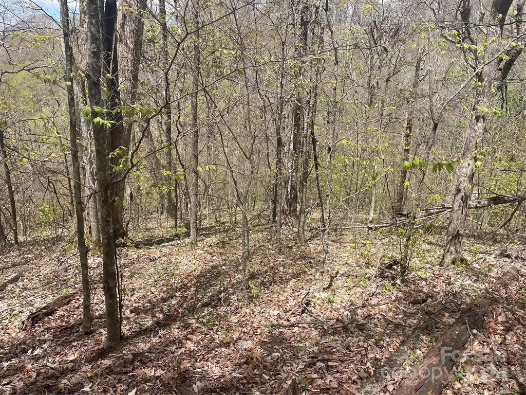 000 El Miner Drive Mars Hill NC 28754