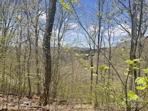 000 El Miner Drive Mars Hill NC 28754