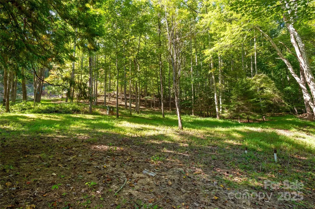 116 Sams Branch Road Candler NC 28715