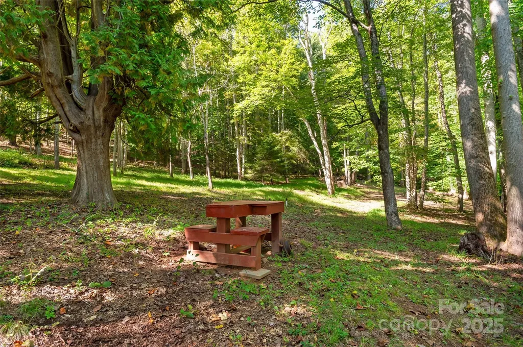 116 Sams Branch Road Candler NC 28715