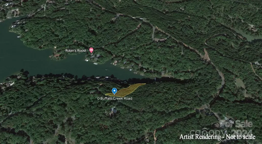 00 Buffalo Shoals Road Lake Lure NC 28746