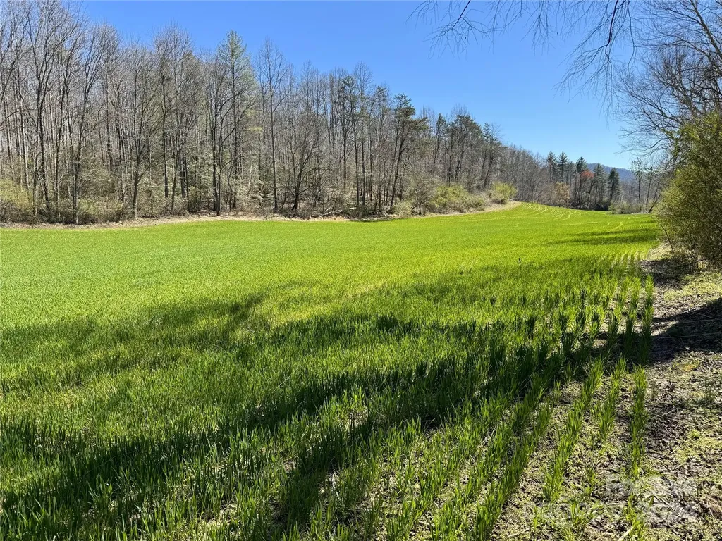 Tbd German Farm Road Boomer NC 28606
