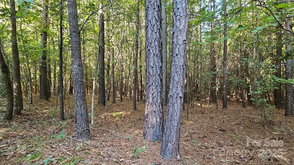 10130 Reed Mine Road Midland NC 28107