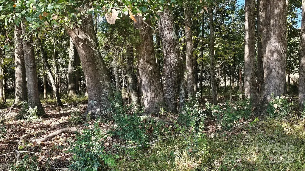 10130 Reed Mine Road Midland NC 28107
