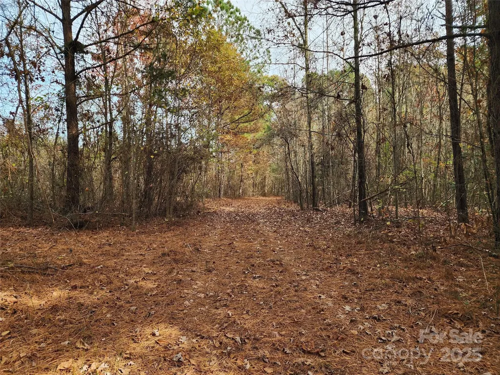 2351 Reges Store Road Nashville NC 27856