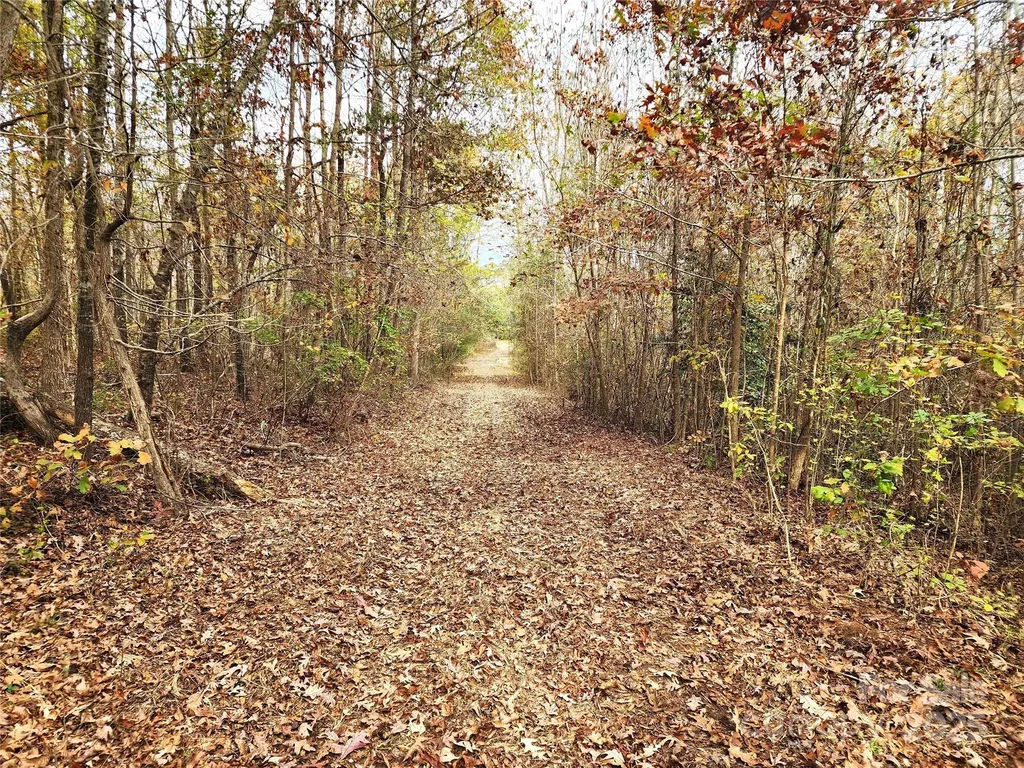2351 Reges Store Road Nashville NC 27856