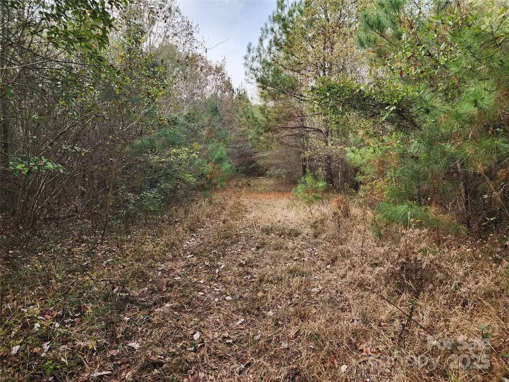 2351 Reges Store Road Nashville NC 27856