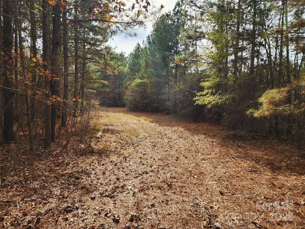 2351 Reges Store Road Nashville NC 27856