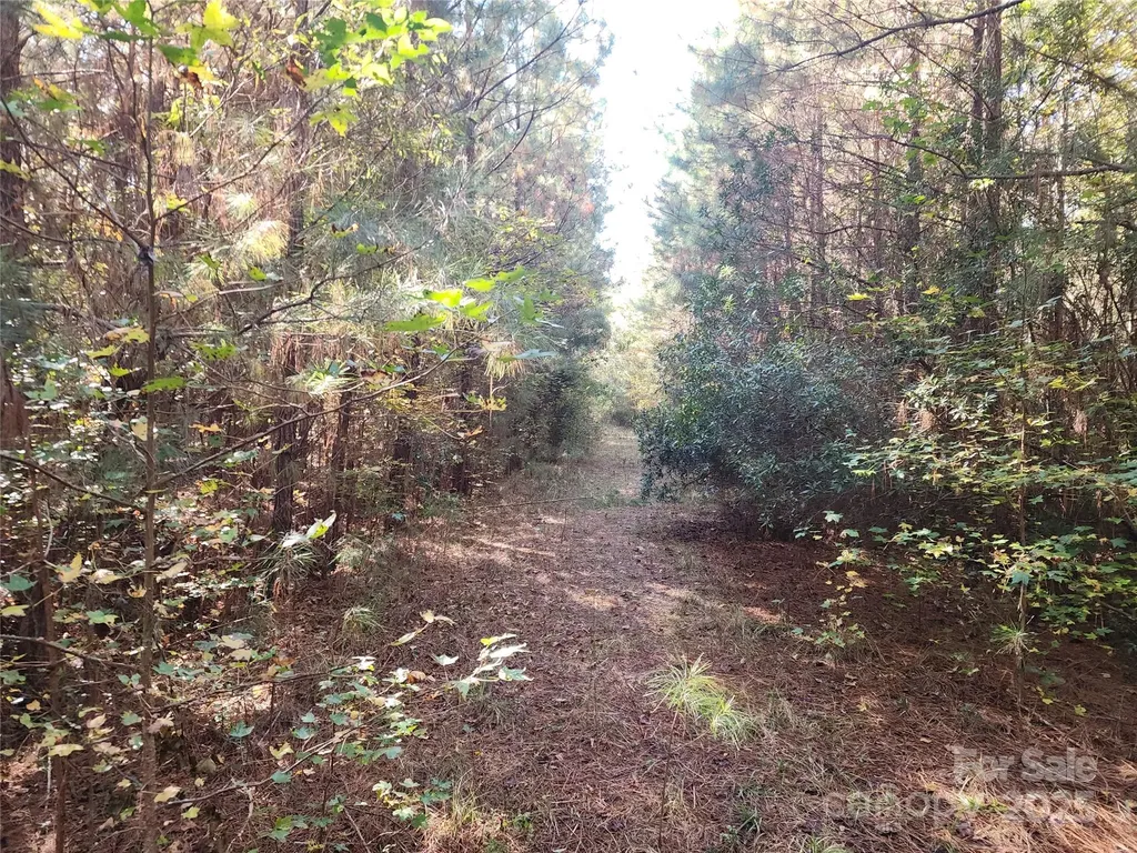 2351 Reges Store Road Nashville NC 27856