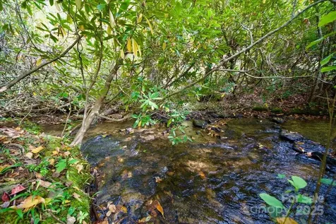 5580 Greenville Highway Brevard NC 28712