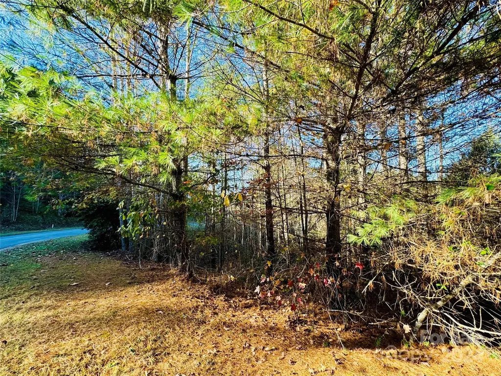 6.09 Acres, Lot 136/137 Johns Ridge Parkway Lenoir NC 28645