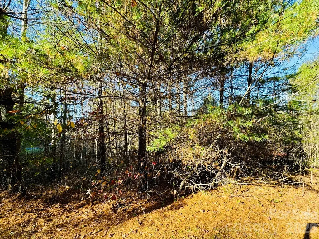 6.09 Acres, Lot 136/137 Johns Ridge Parkway Lenoir NC 28645