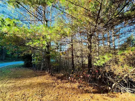 6.09 Acres, Lot 136/137 Johns Ridge Parkway Lenoir NC 28645