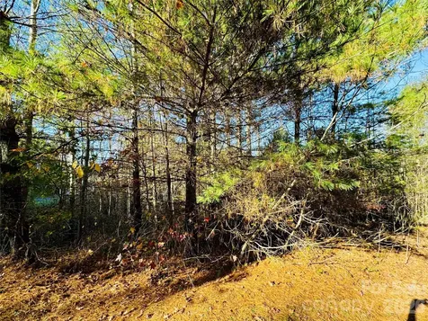 6.09 Acres, Lot 136/137 Johns Ridge Parkway Lenoir NC 28645