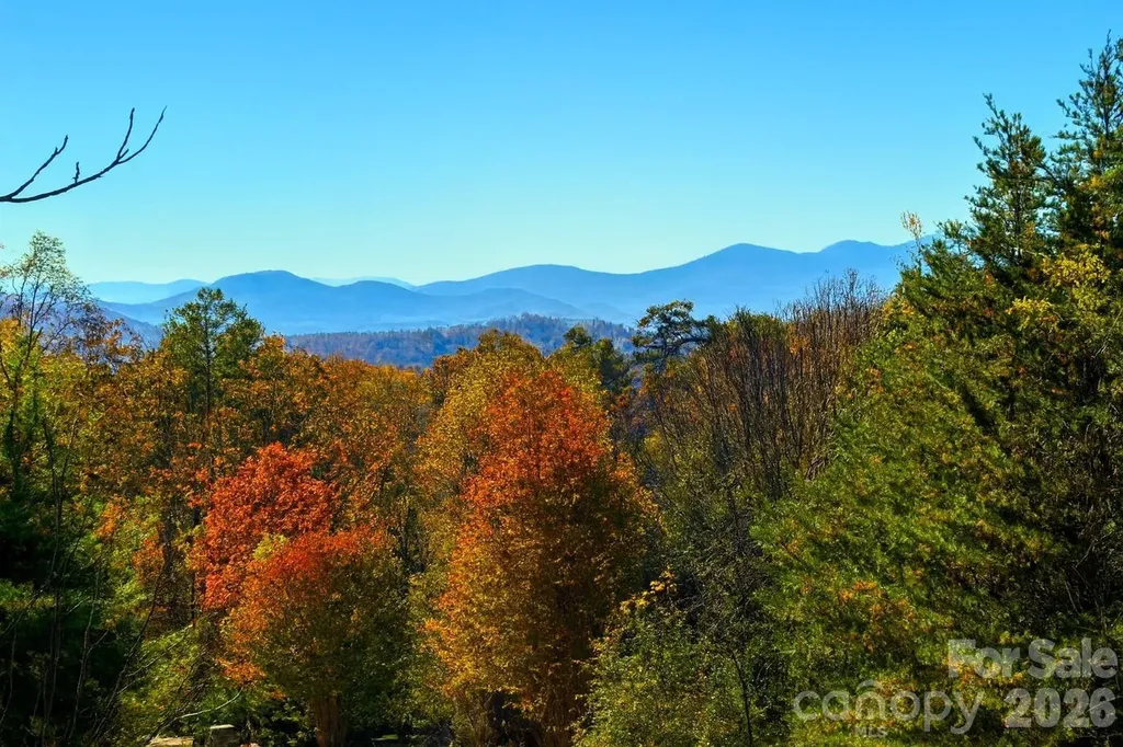 66 Hawtree Court Weaverville NC 28787