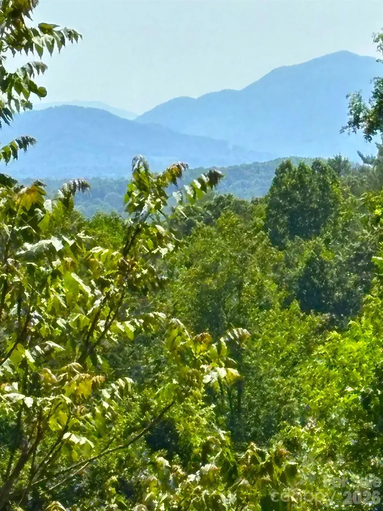 66 Hawtree Court Weaverville NC 28787