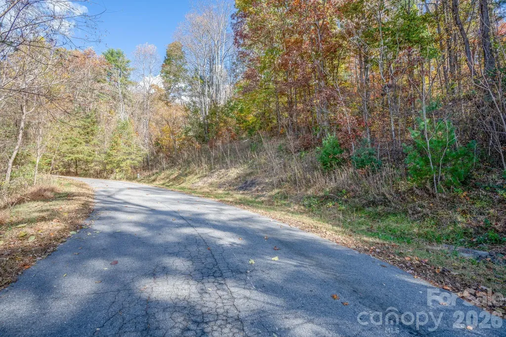 66 Hawtree Court Weaverville NC 28787