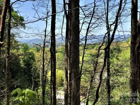 66 Hawtree Court Weaverville NC 28787