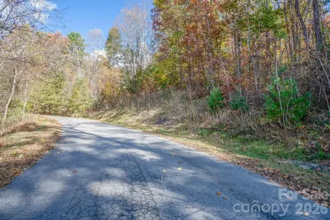 66 Hawtree Court Weaverville NC 28787