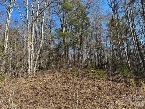 66 Hawtree Court Weaverville NC 28787