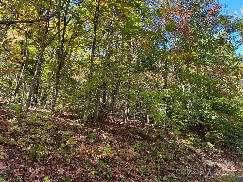 00 Tract B&c Us Highway 441 S Sylva NC 28779