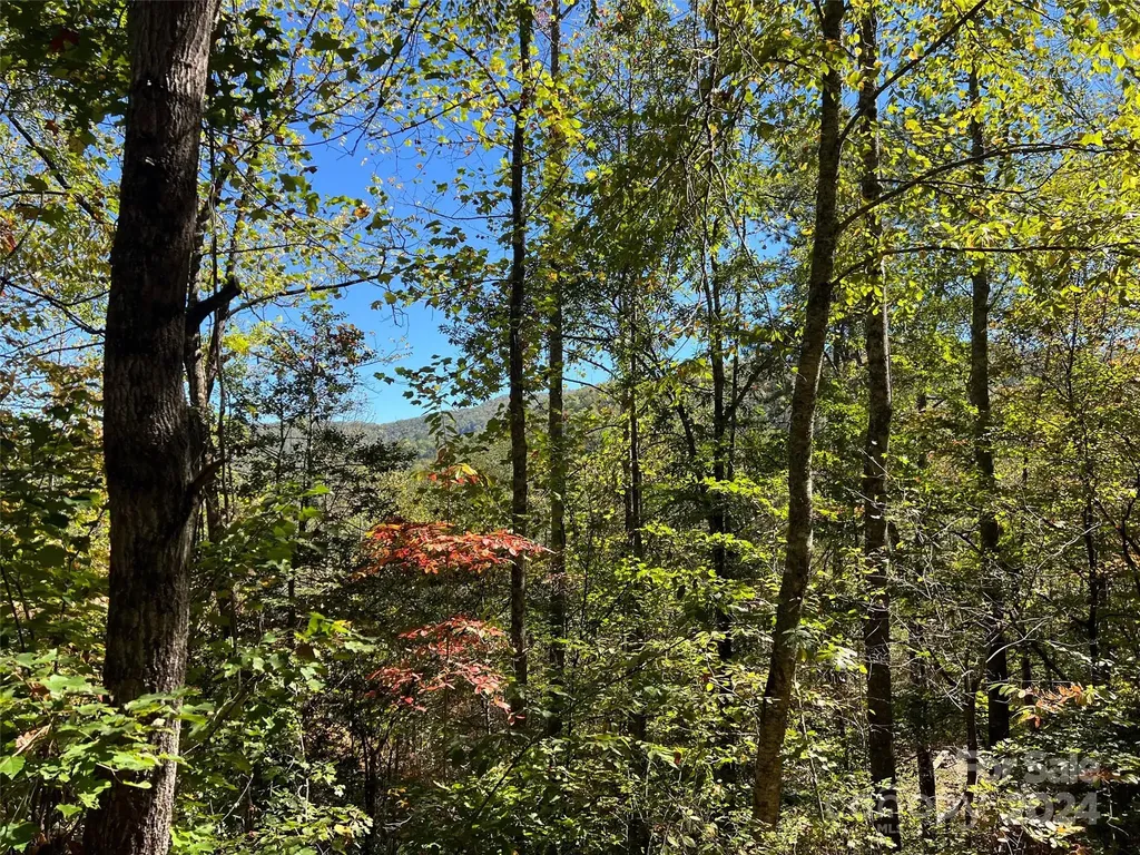 00 Tract B&c Us Highway 441 S Sylva NC 28779