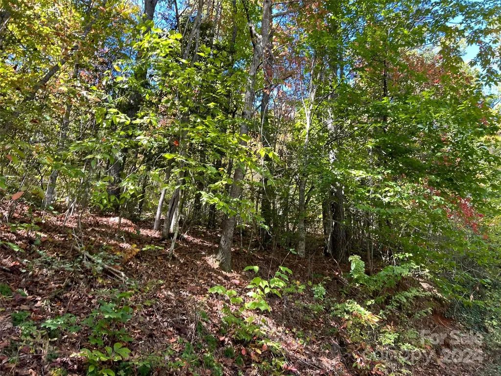 00 Tract B&c Us Highway 441 S Sylva NC 28779