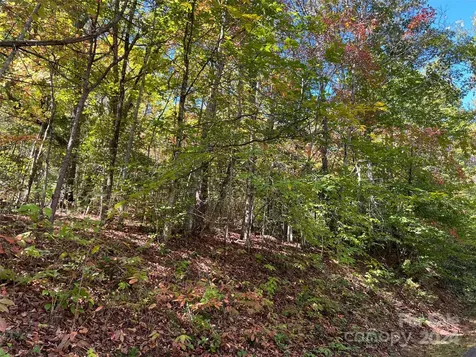 00 Tract B&c Us Highway 441 S Sylva NC 28779