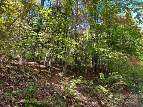 00 Tract B&c Us Highway 441 S Sylva NC 28779