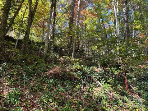 00 Tract B&c Us Highway 441 S Sylva NC 28779