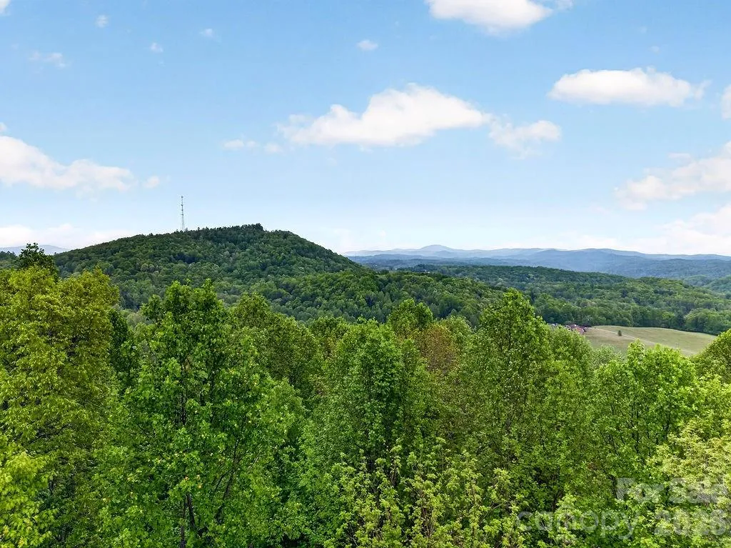 5481 Greenville Highway Zirconia NC 28790