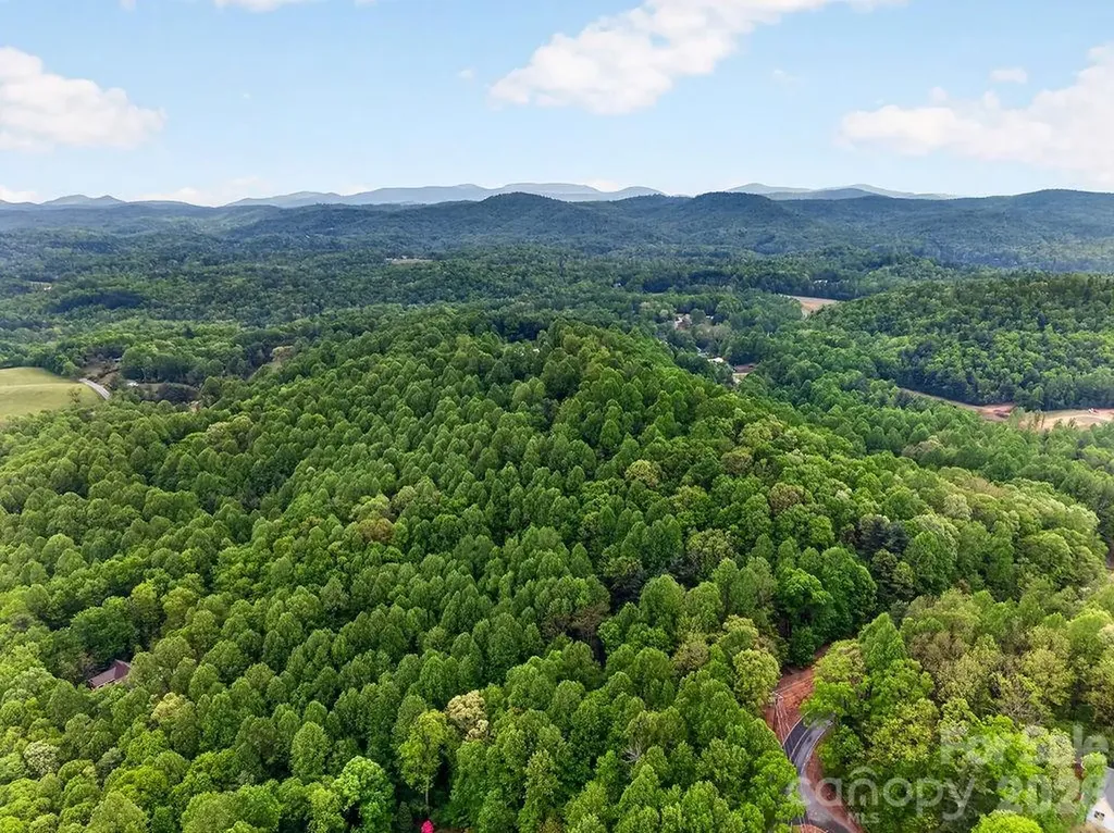 5481 Greenville Highway Zirconia NC 28790