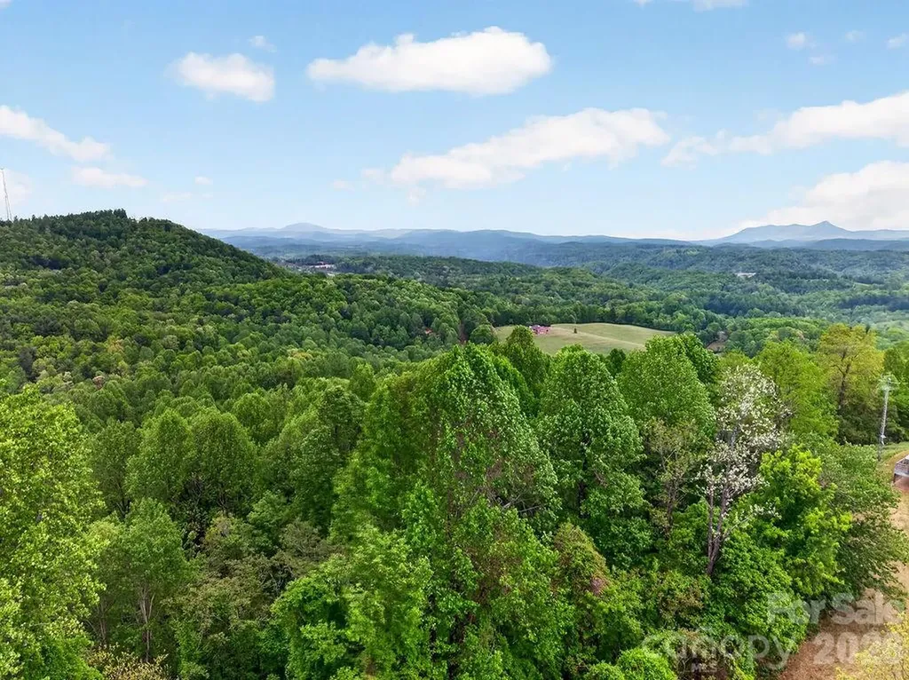 5481 Greenville Highway Zirconia NC 28790