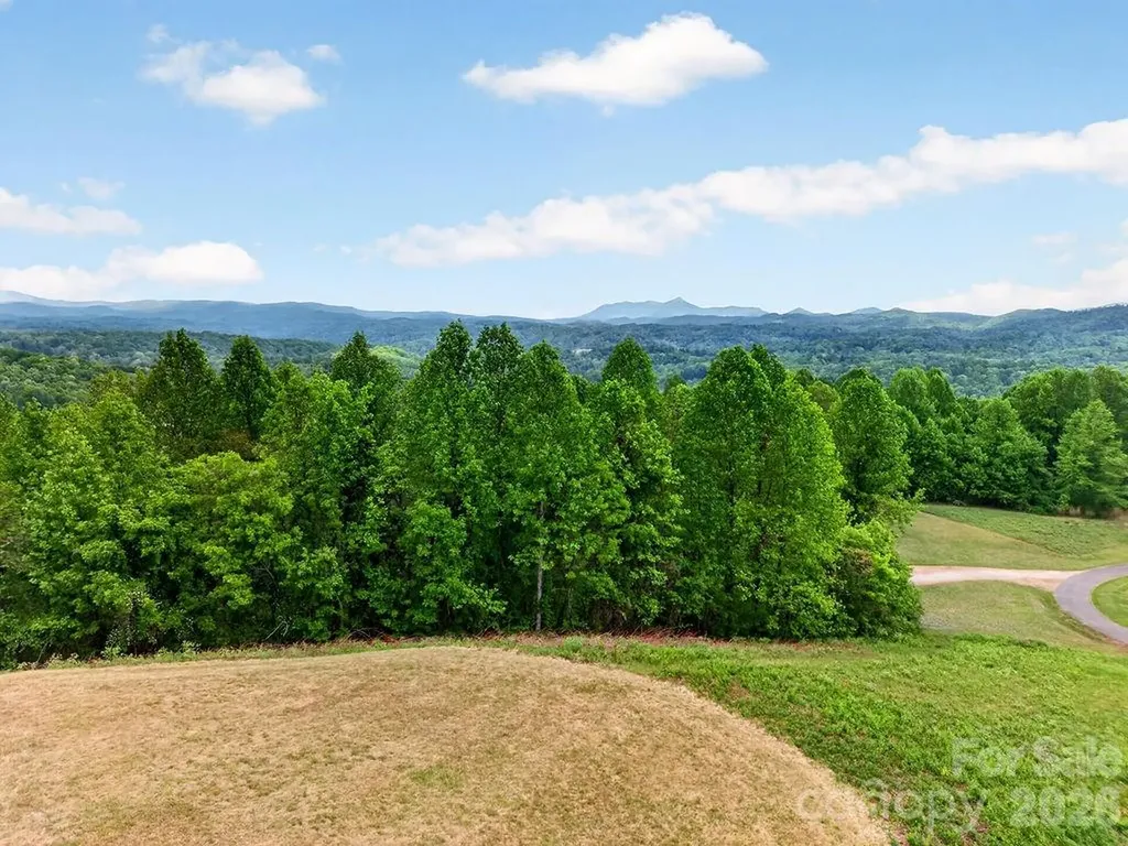 5481 Greenville Highway Zirconia NC 28790
