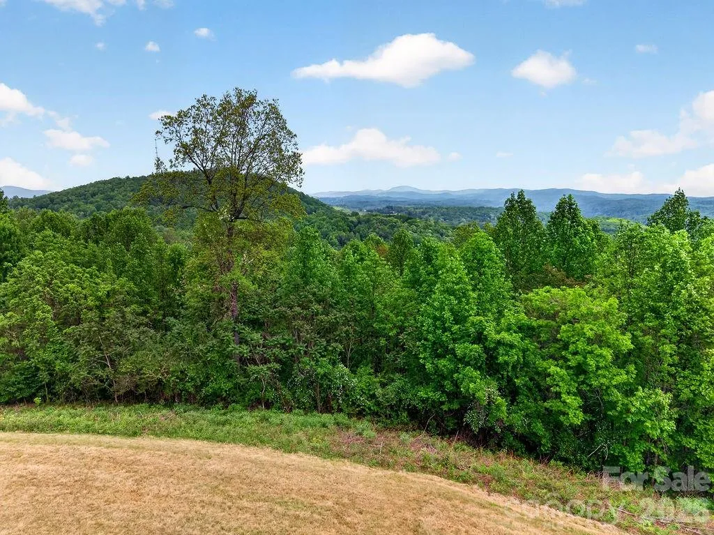 5481 Greenville Highway Zirconia NC 28790