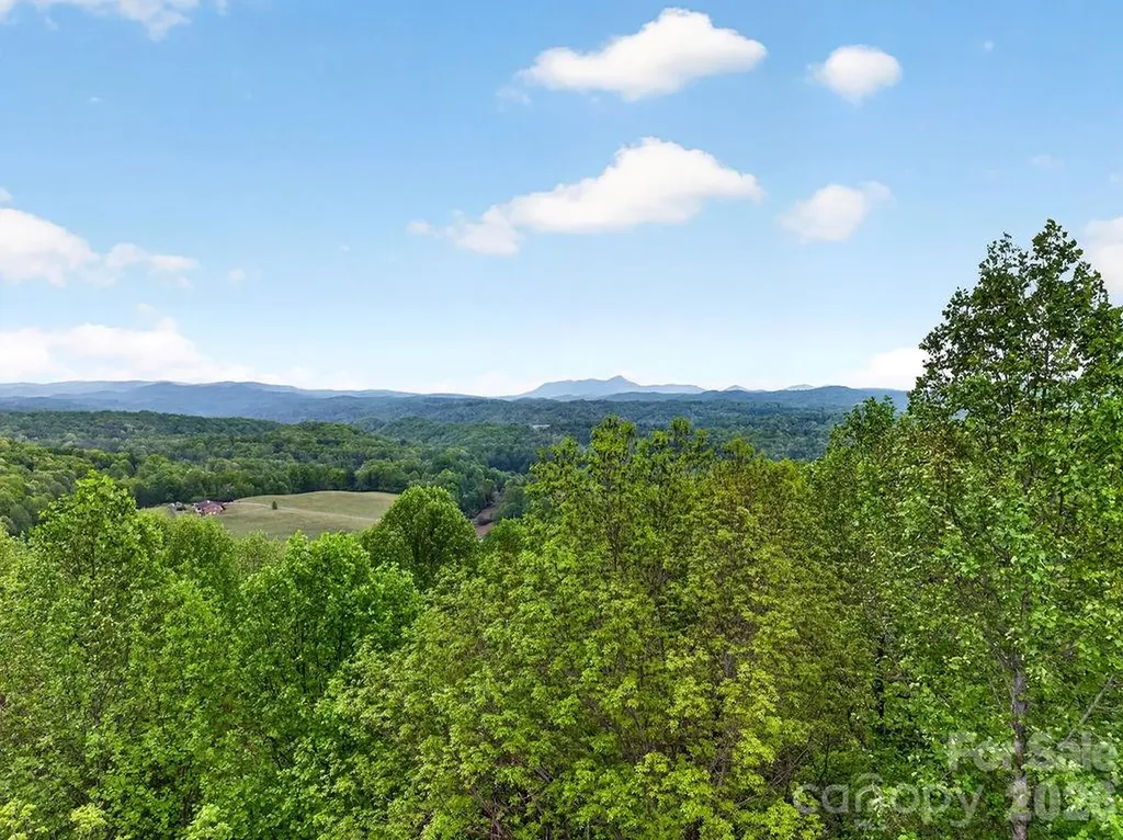 5481 Greenville Highway Zirconia NC 28790