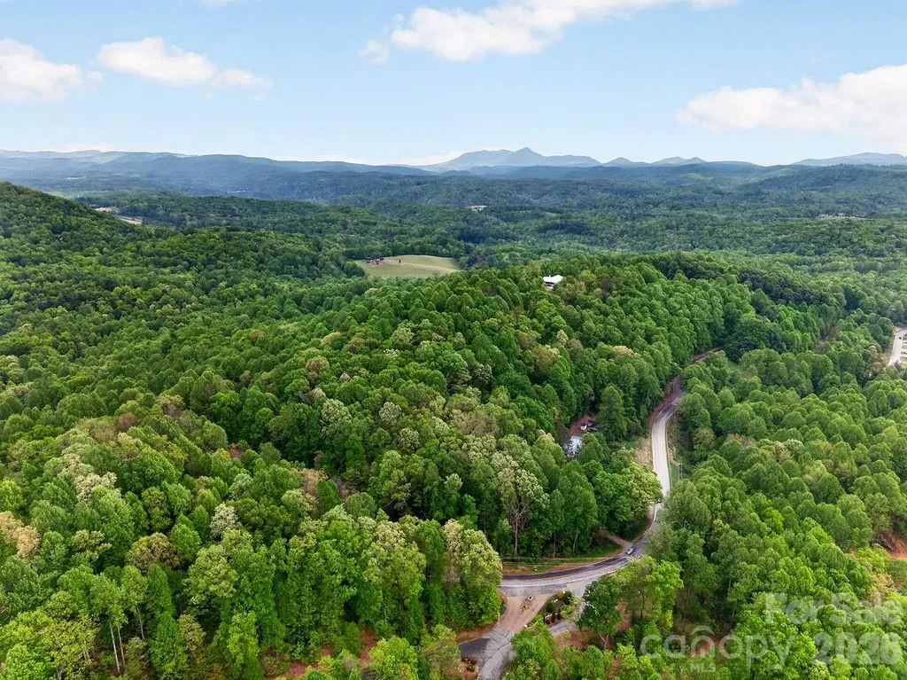 5481 Greenville Highway Zirconia NC 28790