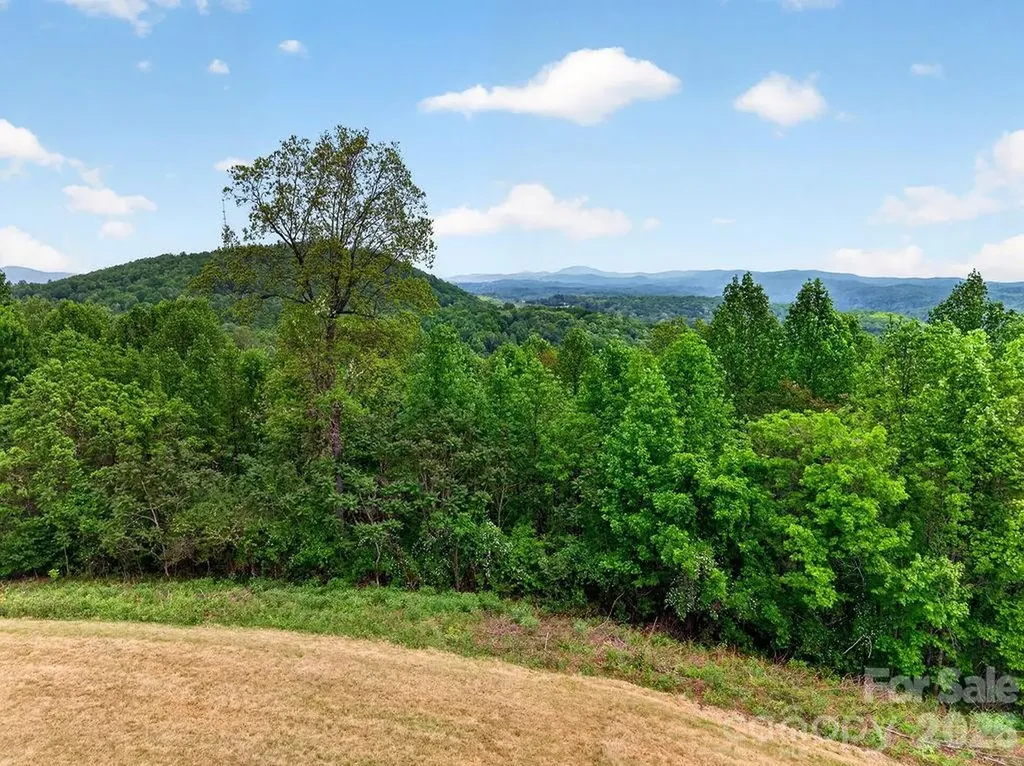 5481 Greenville Highway Zirconia NC 28790