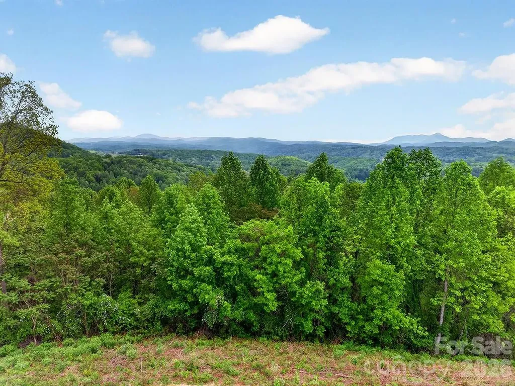 5481 Greenville Highway Zirconia NC 28790