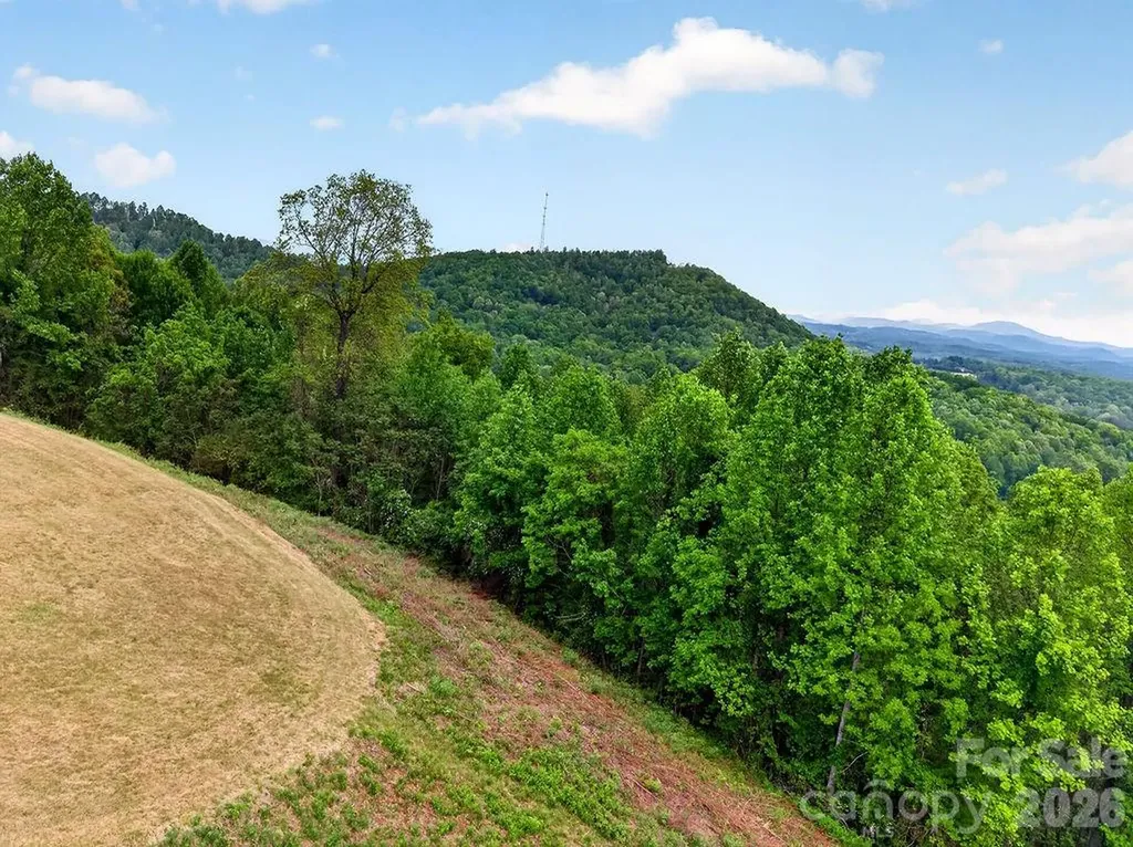 5481 Greenville Highway Zirconia NC 28790