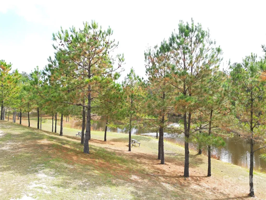 2034 Haileys Ferry Road Lilesville NC 28091