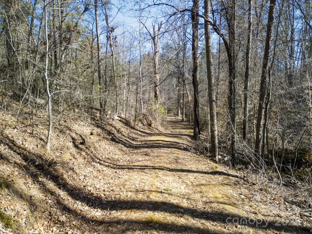 99999 Monticello Road Weaverville NC 28787