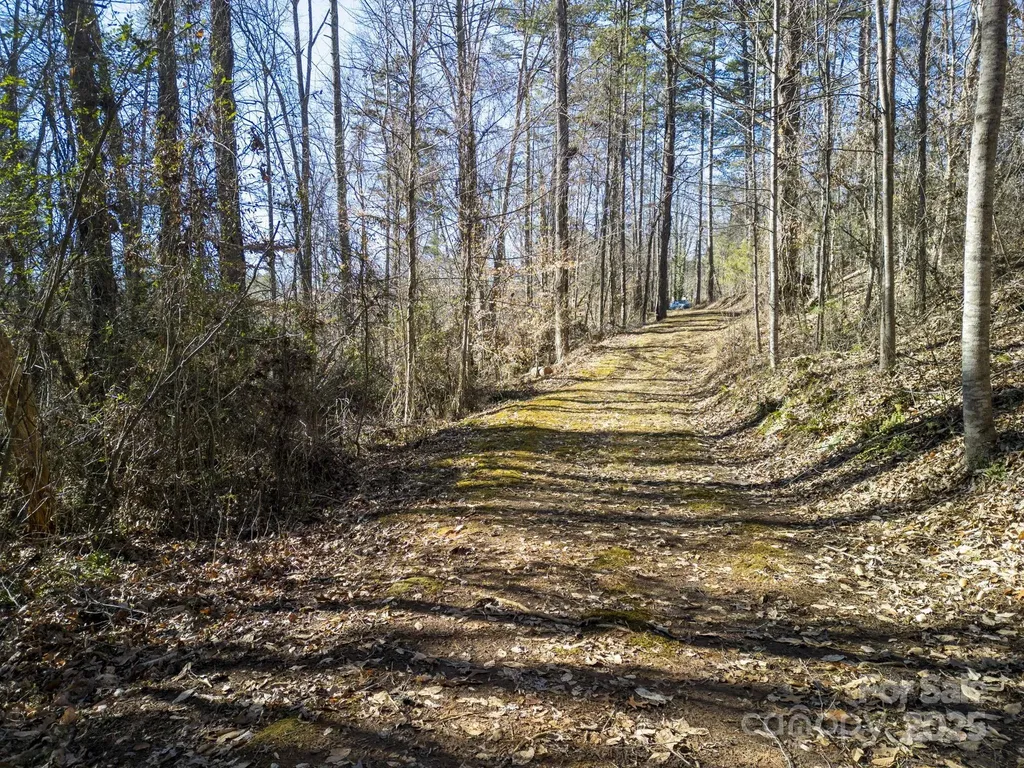 99999 Monticello Road Weaverville NC 28787