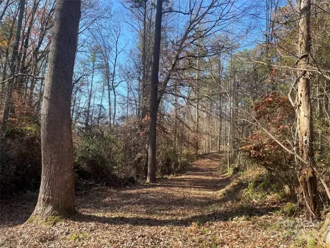 99999 Monticello Road Weaverville NC 28787