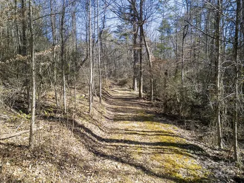 99999 Monticello Road Weaverville NC 28787