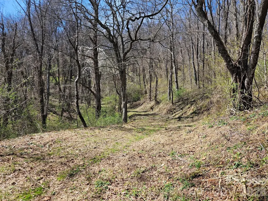 1200 Rocky Knob Road Waynesville NC 28786